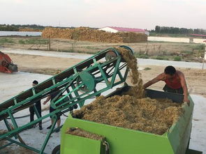 一八二團新型飼料攪拌機助力畜牧業高質量發展